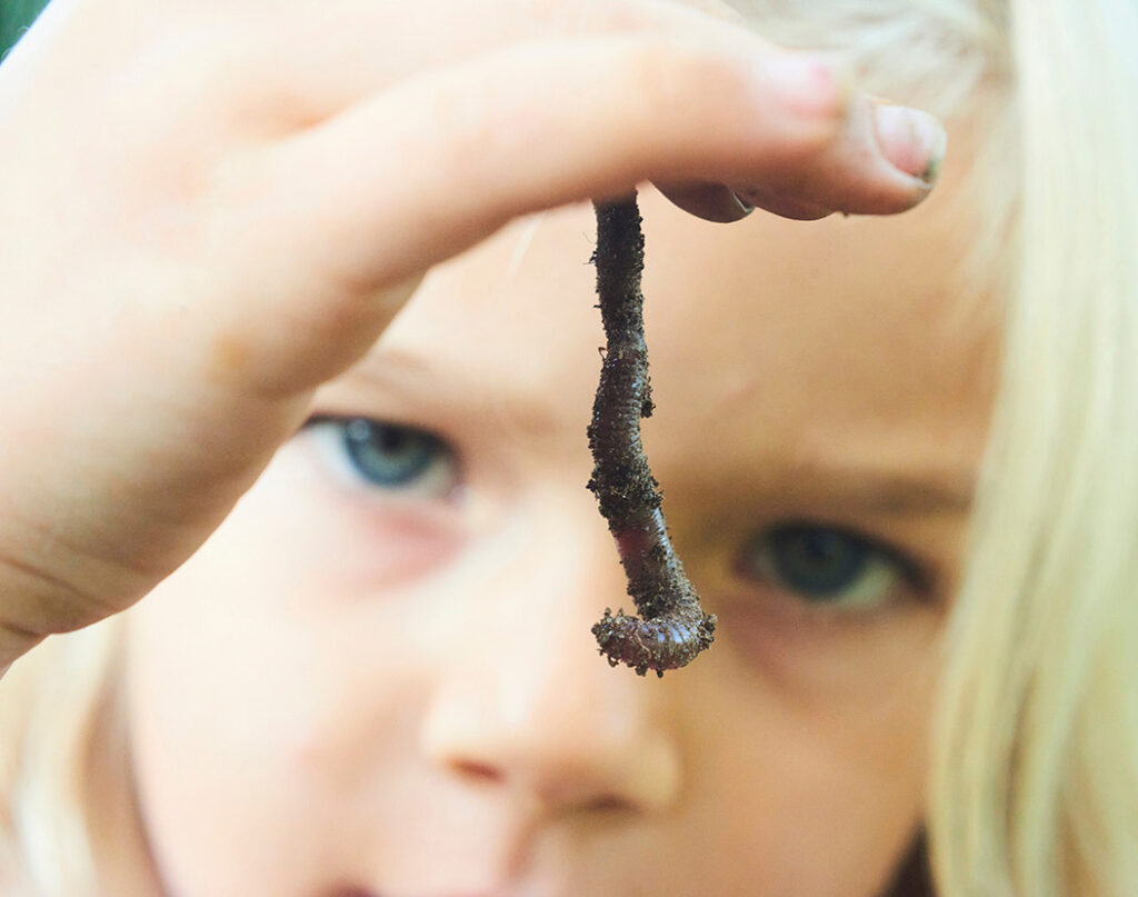 Child,Girl,Holding,Earthworm.,Selective,Focus,To,Earthworm