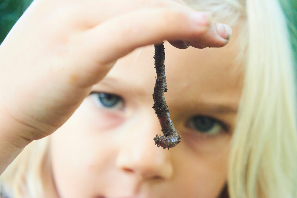 Child,Girl,Holding,Earthworm.,Selective,Focus,To,Earthworm