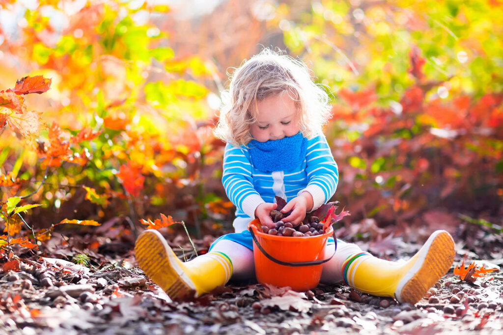 Girl,Holding,Acorn,And,Colorful,Leaf,In,Autumn,Park.,Child