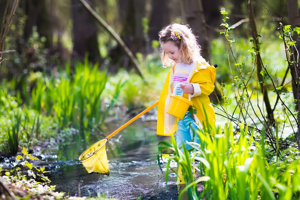 Child,Playing,Outdoors.,Preschooler,Kid,Catching,Frog,With,Colorful,Net.